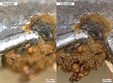Corroded part of an automotive component  Left: normal/right: depth composition (200x)