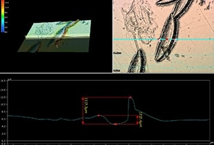 Observation and Measurement of Power Semiconductors (Power Devices) Using Digital Microscopes