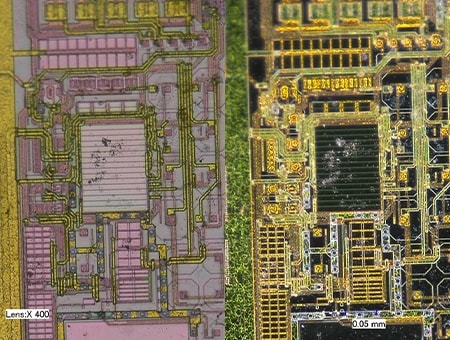 Left: brightfield lighting/right: darkfield lighting (400x)