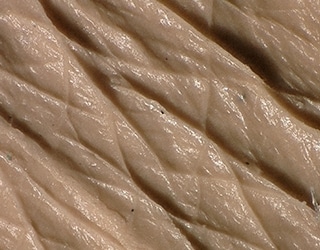 Multi-lighting image of skin texture (skin replica)